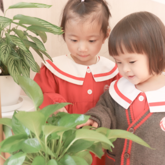  幼兒教育服務 